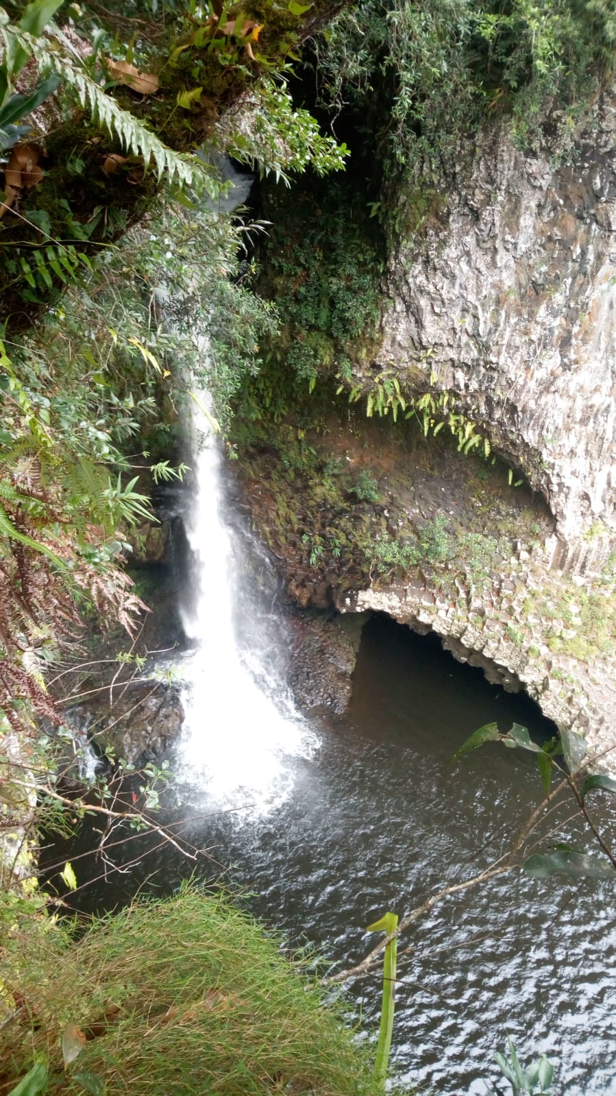  🇷🇪️ Reunion Island images/2021/reunion/45.jpg
