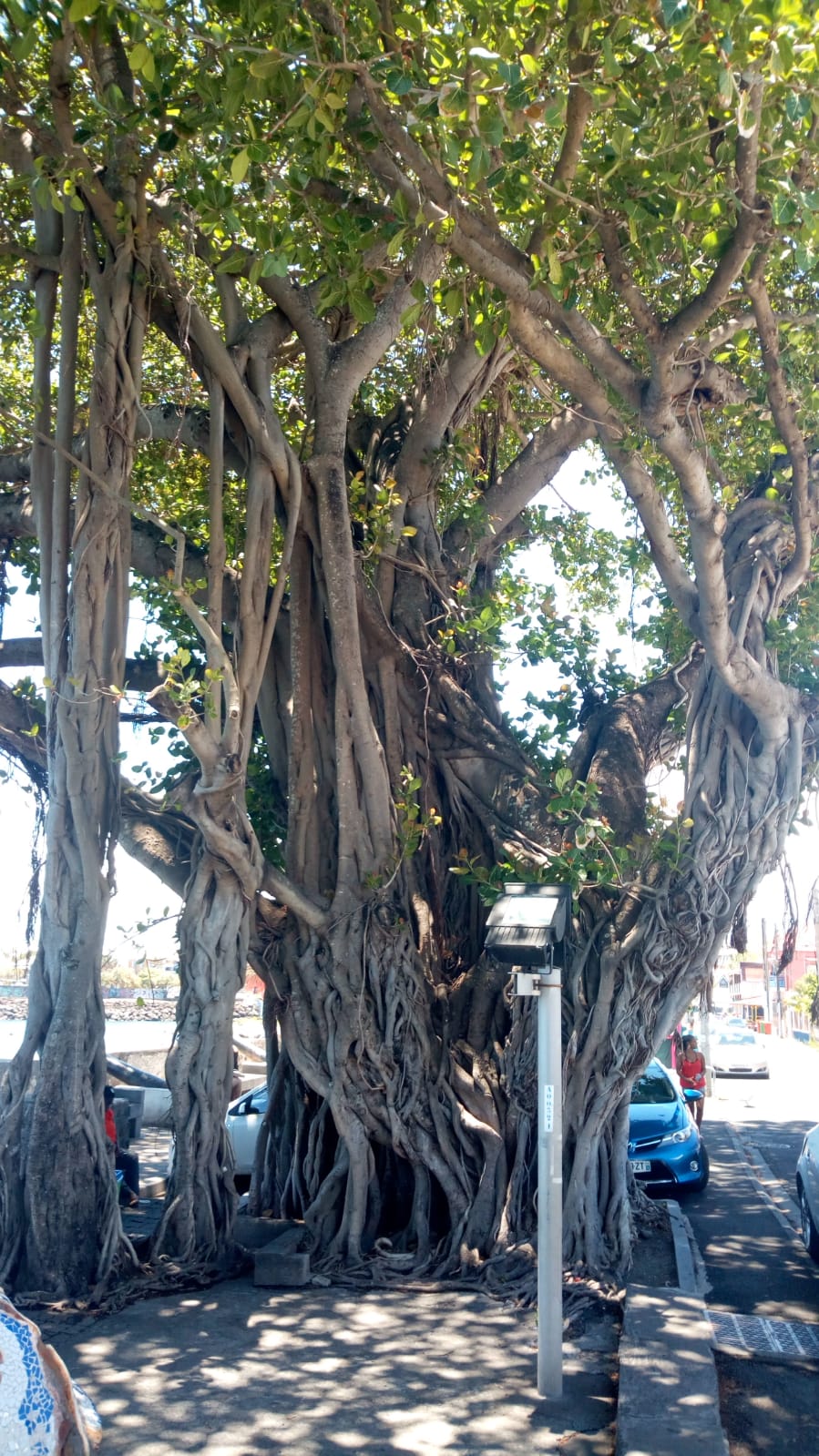  🇷🇪️ Reunion Island images/2021/reunion/47.jpg