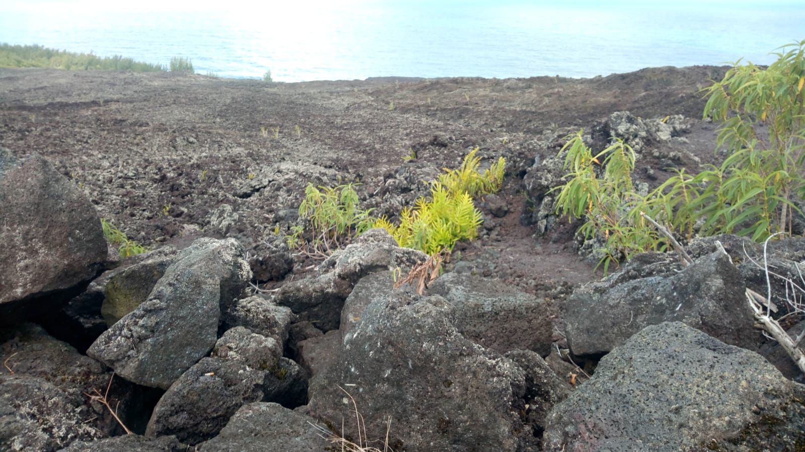 🇷🇪️ Reunion Island images/2021/reunion/48.jpg