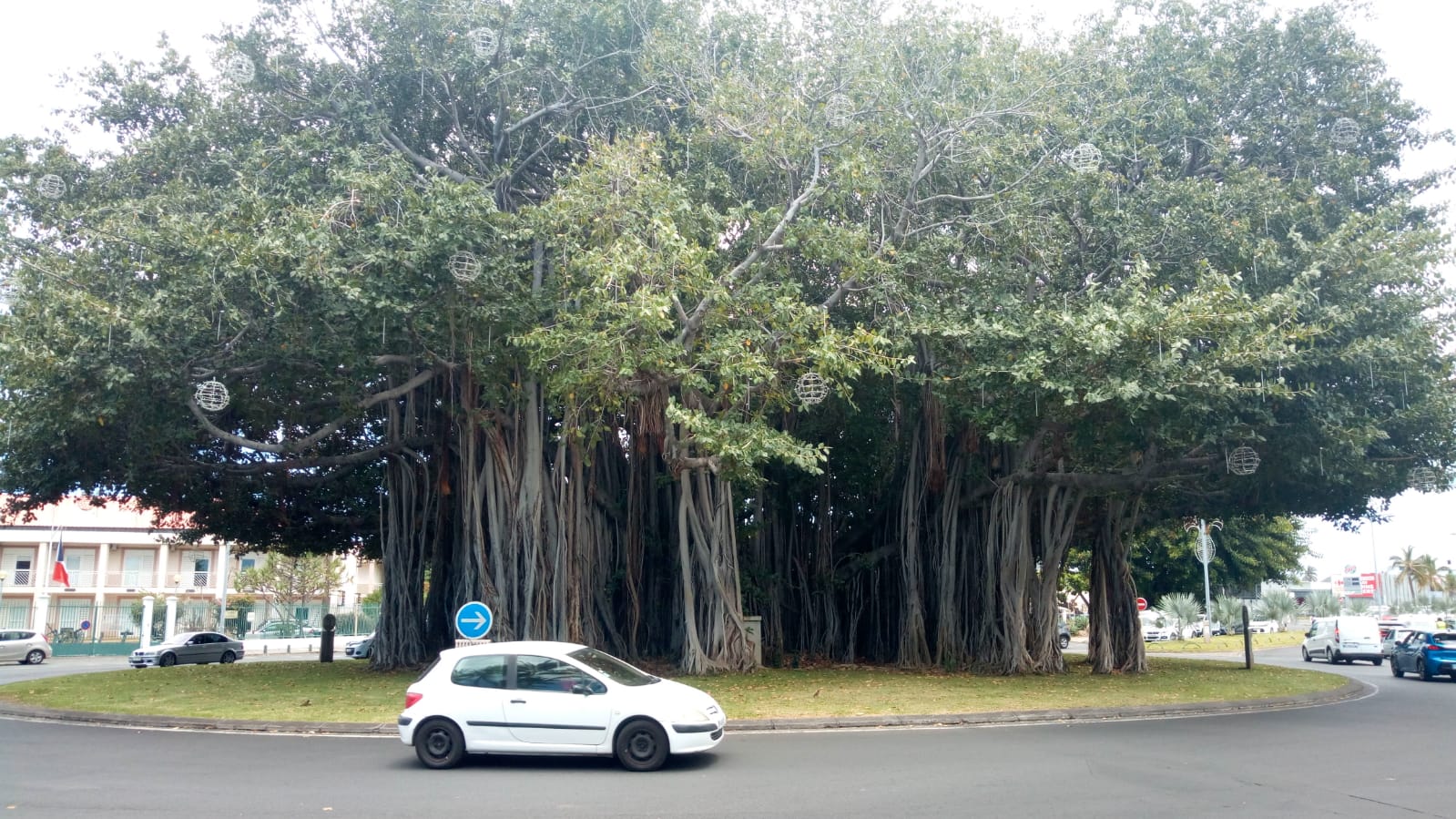  🇷🇪️ Reunion Island images/2021/reunion/63.jpg