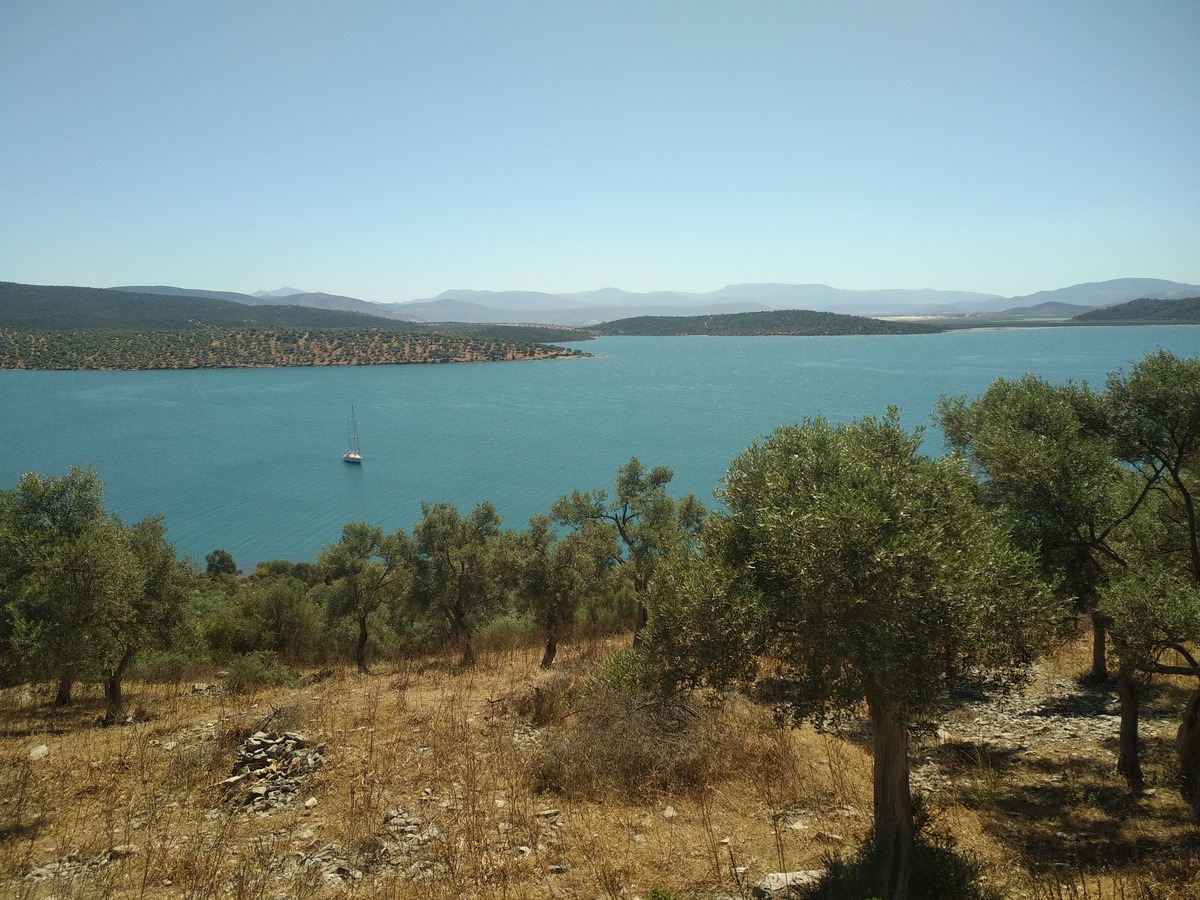  🇹🇷️ 90 days in Güllük Turkey images/2021/turkey/19.jpg
