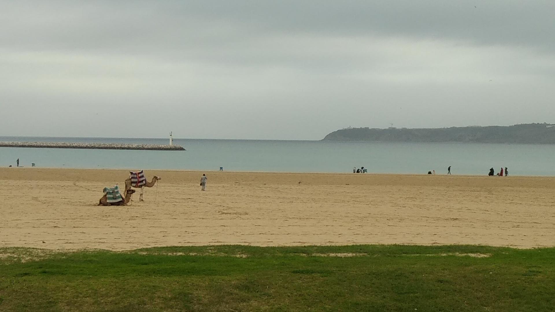  🇲🇦️ Tangiers Morocco images/2022/mo/beach.jpg