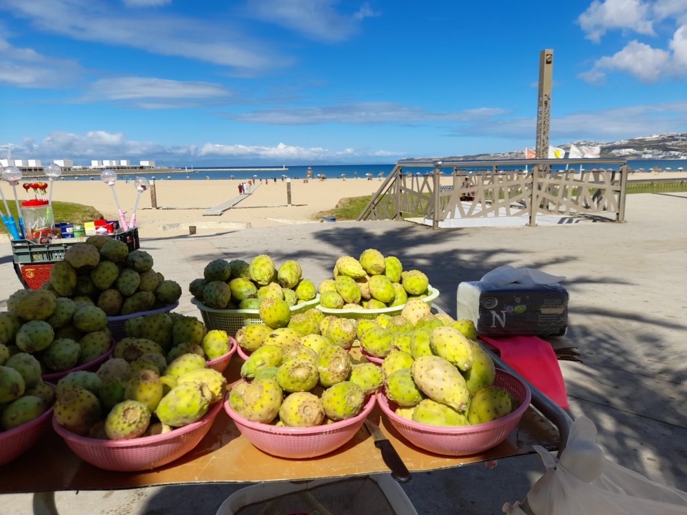  🇲🇦️ Tangiers Morocco images/2022/mo/t7.jpg