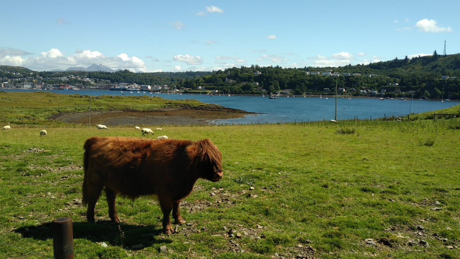  🏴󠁧󠁢󠁳󠁣󠁴󠁿 Back again in Scotland images/2022/scot/17.jpg