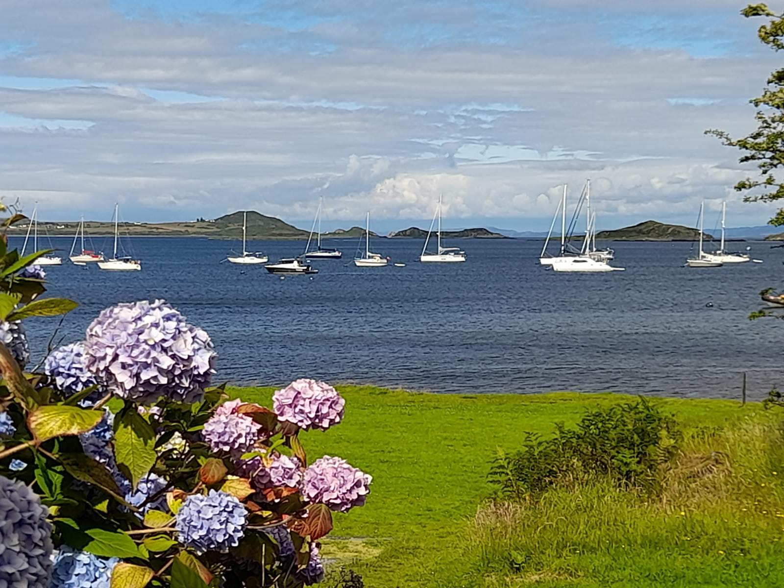  🏴󠁧󠁢󠁳󠁣󠁴󠁿 Back again in Scotland images/2022/scot/7.jpg