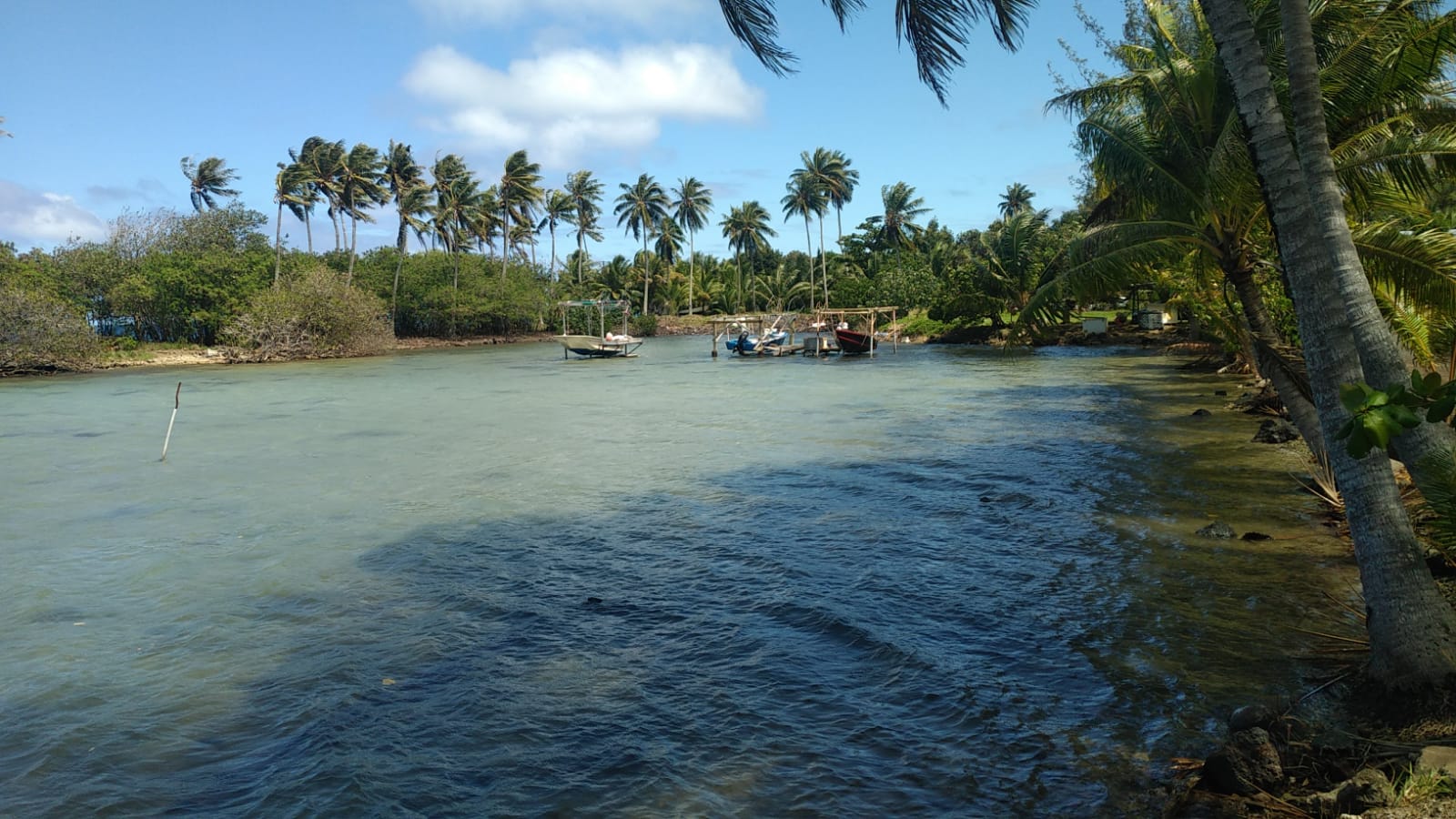  🇵🇫️ Welcome to Bora Bora images/2023/bo/boats.jpg