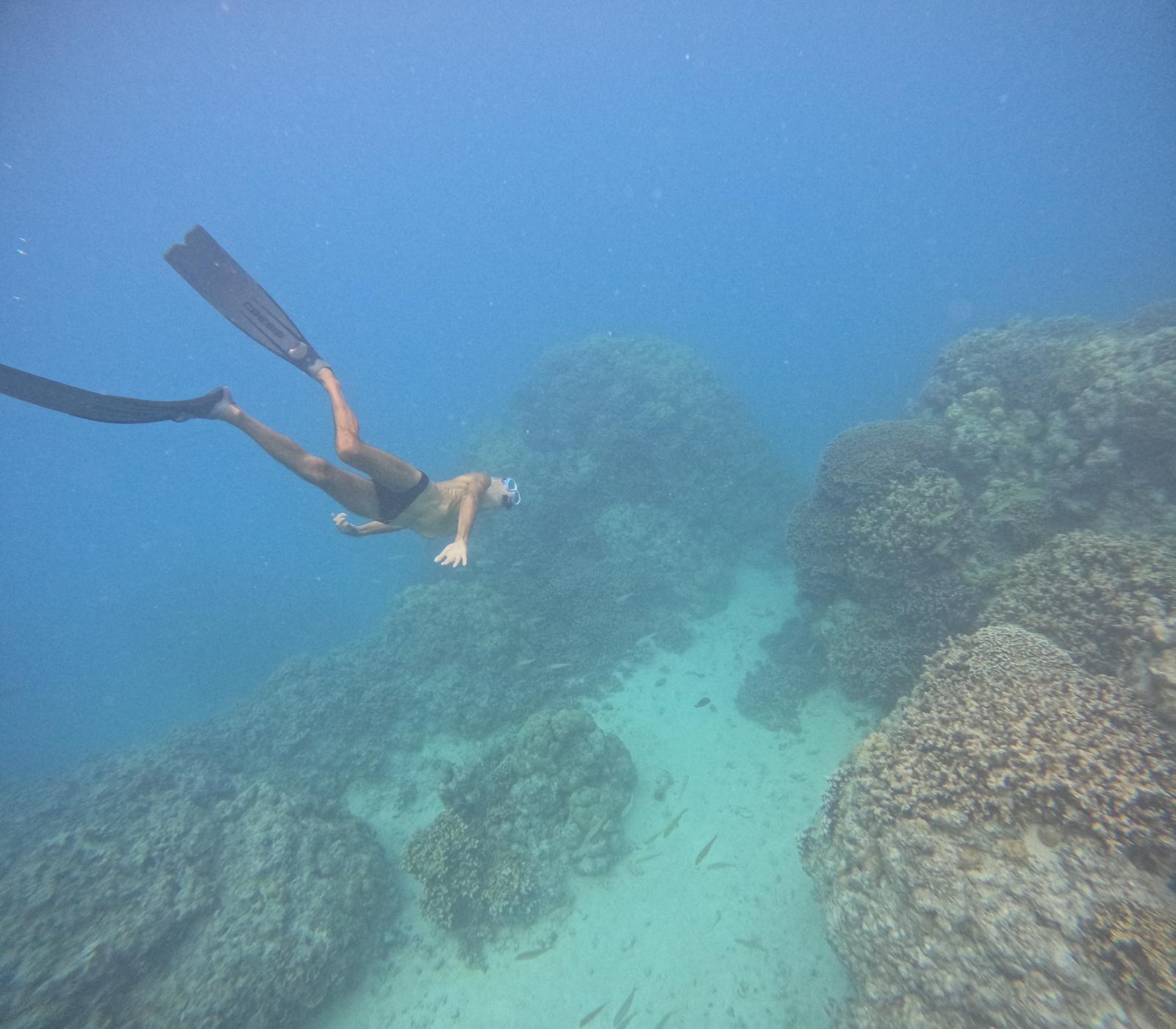  🇵🇫️ Welcome to Bora Bora images/2023/bo/dive.jpg