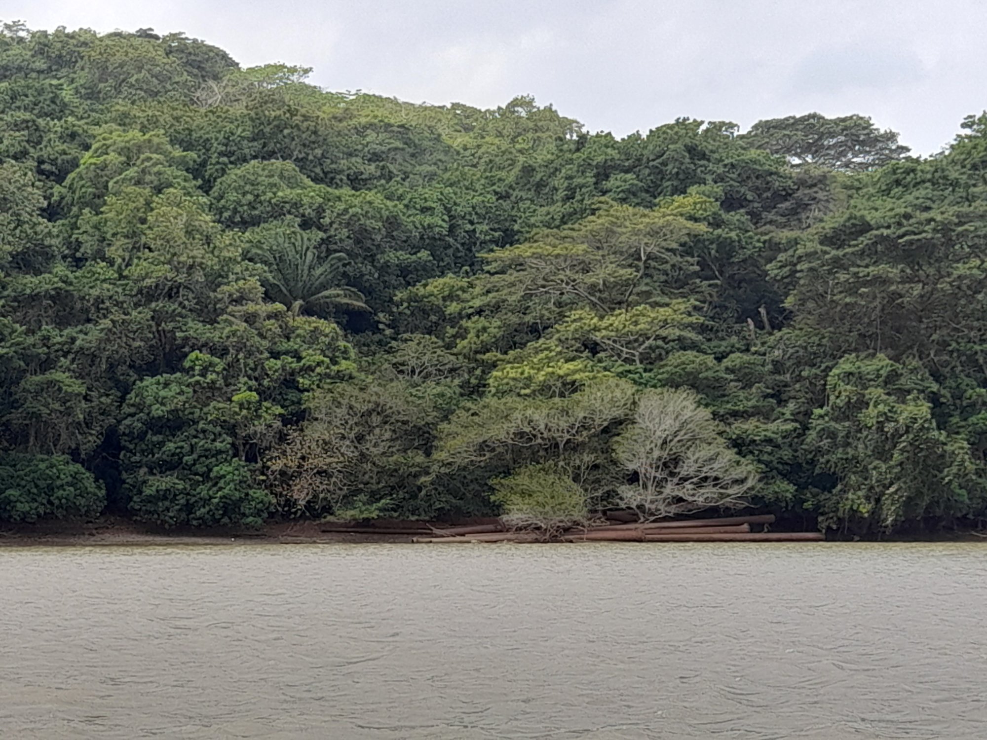  🇵🇦️ The Panama canal images/2023/can/cut1.jpg