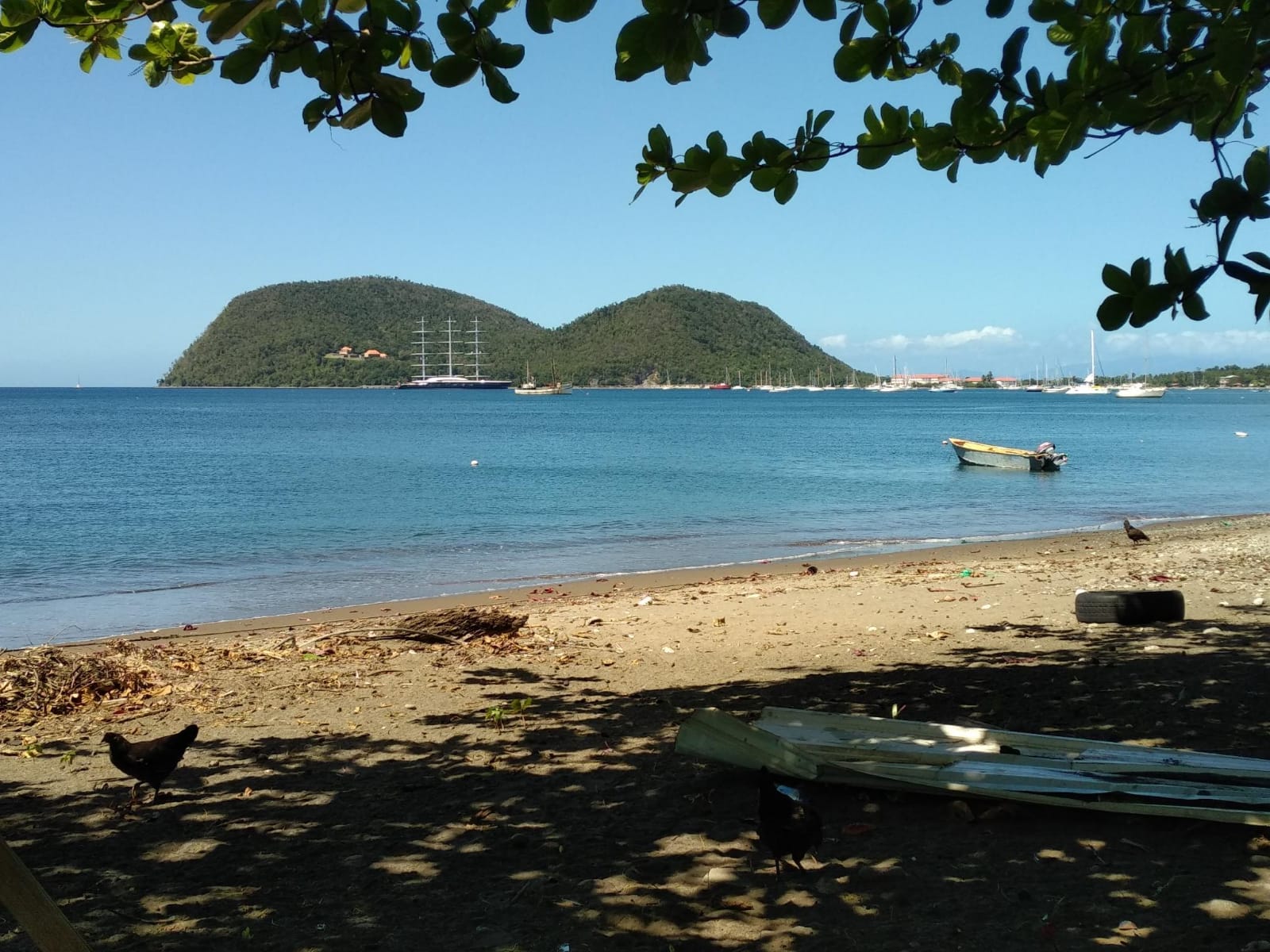  🇩🇲️ Dominica images/2023/dom/10.jpg