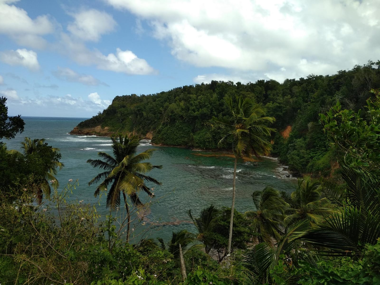  🇩🇲️ Dominica images/2023/dom/14.jpg