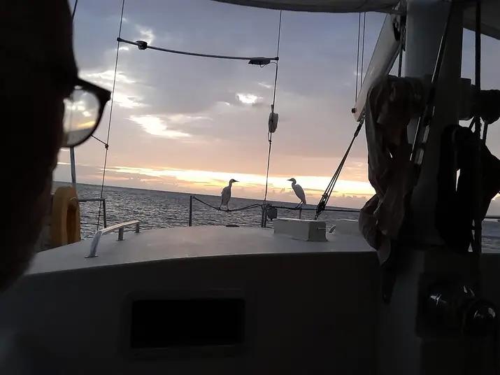  🇩🇲️ Dominica images/2023/dom/18.jpg