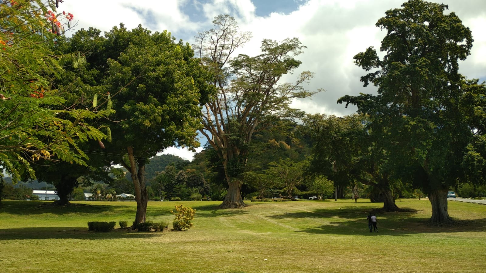  🇩🇲️ Dominica images/2023/dom/23a.jpg