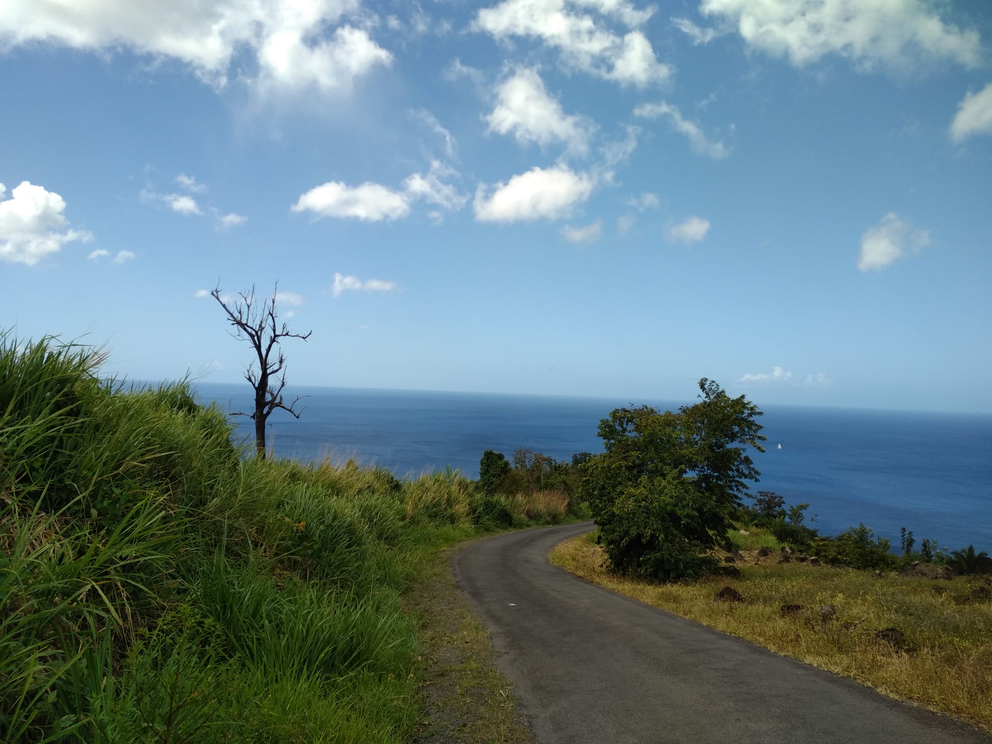  🇩🇲️ Dominica images/2023/dom/24.jpg