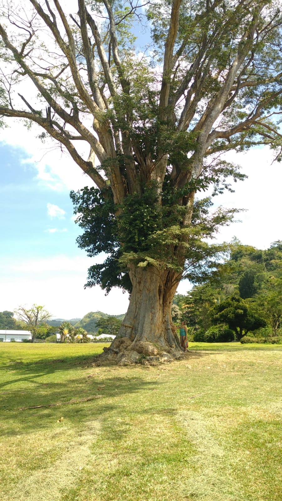  🇩🇲️ Dominica images/2023/dom/24a.jpg
