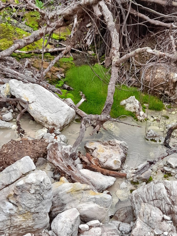  🇩🇲️ Dominica images/2023/dom/29.jpg
