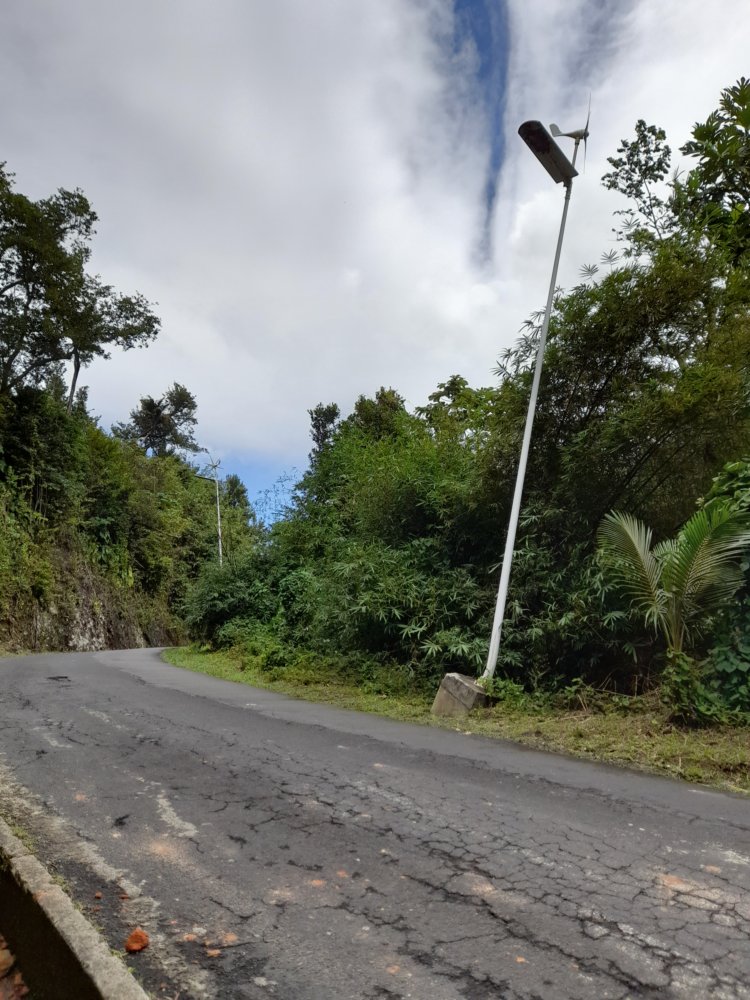  🇩🇲️ Dominica images/2023/dom/3.jpg