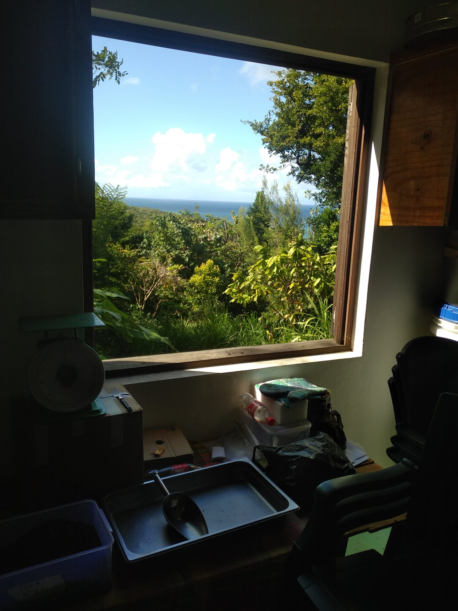  🇩🇲️ Dominica images/2023/dom/33.jpg