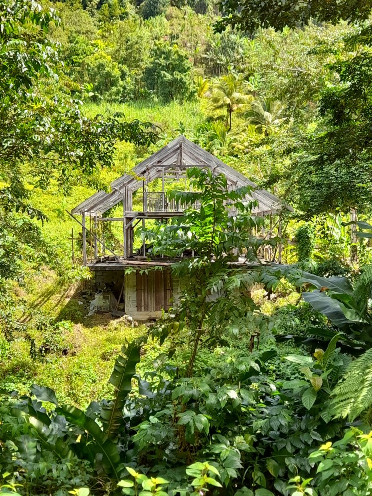  🇩🇲️ Dominica images/2023/dom/4.jpg