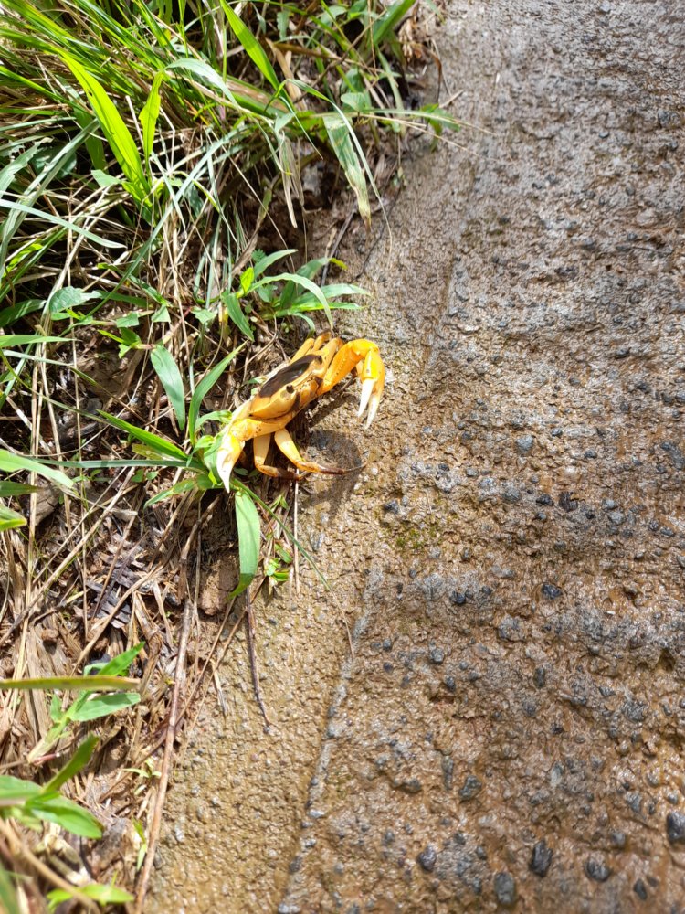  🇩🇲️ Dominica images/2023/dom/6.jpg