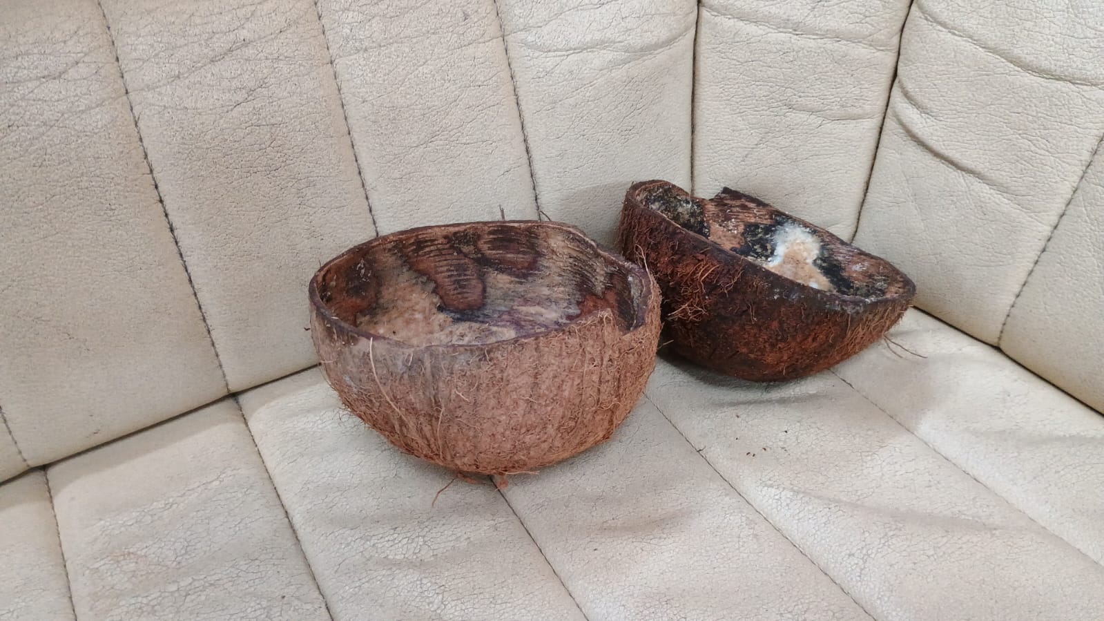  🇵🇫️ Nuku Hiva Festival Des Arts images/2023/fe/16t.jpg