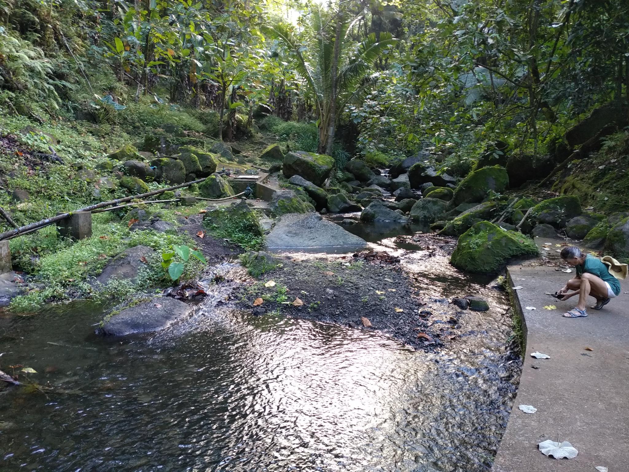  🇵🇫️ Land, we see LAND! Welcome to Fatu Hiva! images/2023/fh/water.jpg