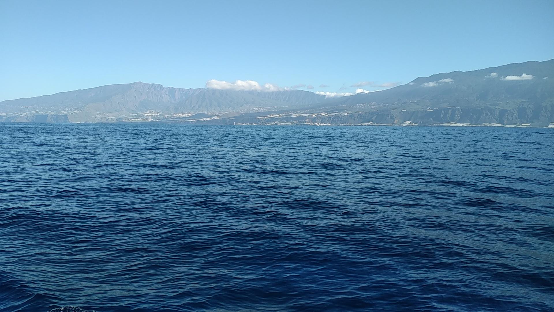  🇪🇸️ La Gomera, the greenest of the Canary Islands images/2023/gom/palma.jpg