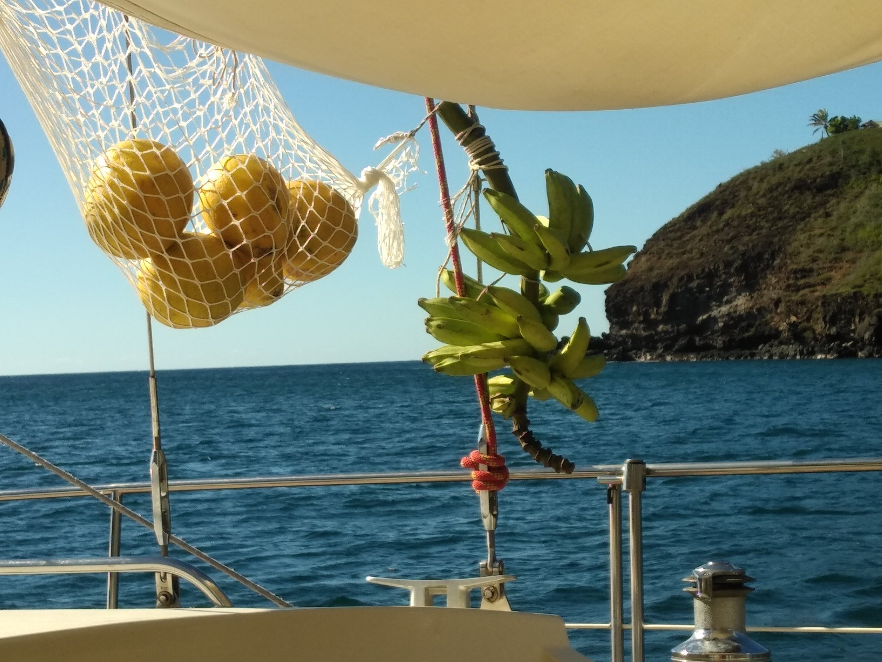  🇵🇫️ Hiva Oa images/2023/ho/fruit.jpg