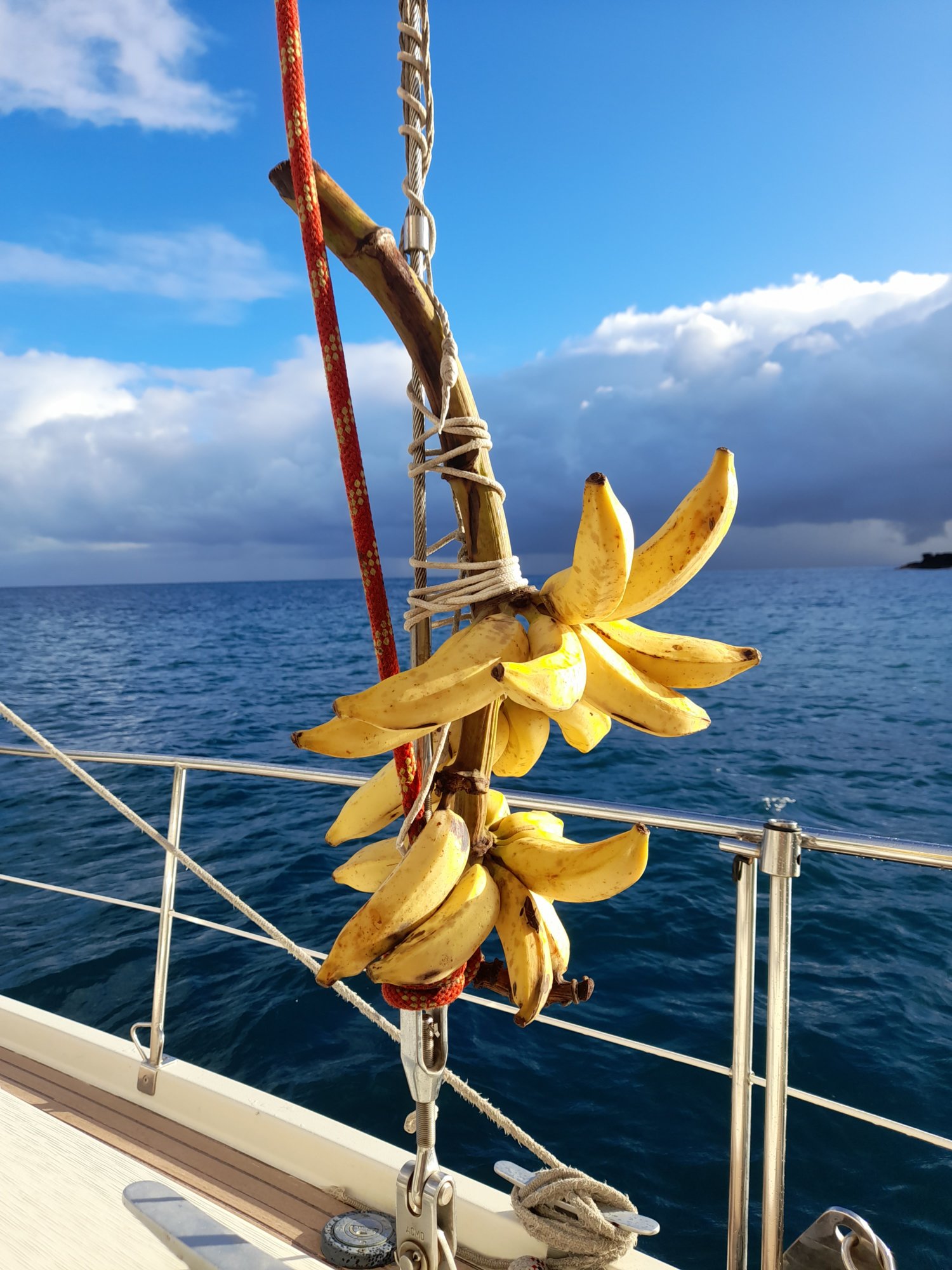  🇵🇫️ Hiva Oa images/2023/ho/fruit2.jpg
