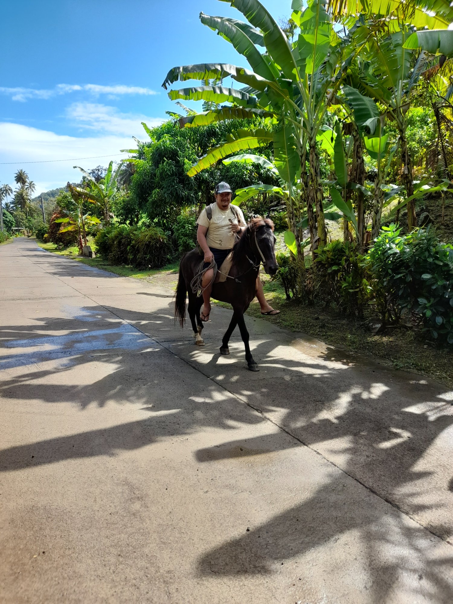 Hiva Oa images/2023/ho/horse.jpg