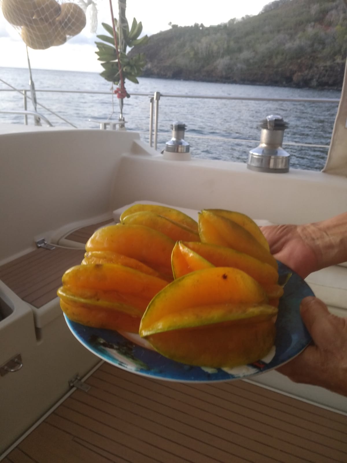  🇵🇫️ Hiva Oa images/2023/ho/star.jpg