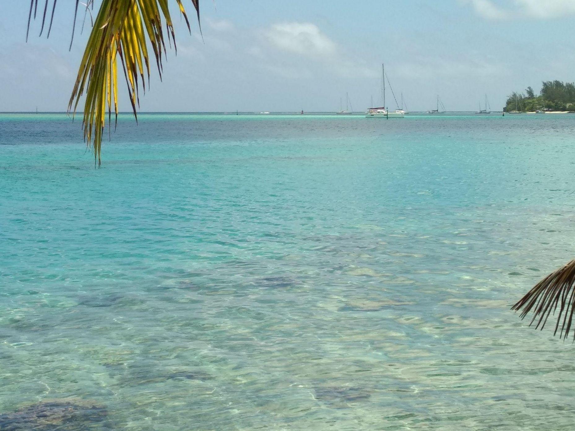  🇵🇫️ Huahine is a treasure images/2023/hu/hh.jpg