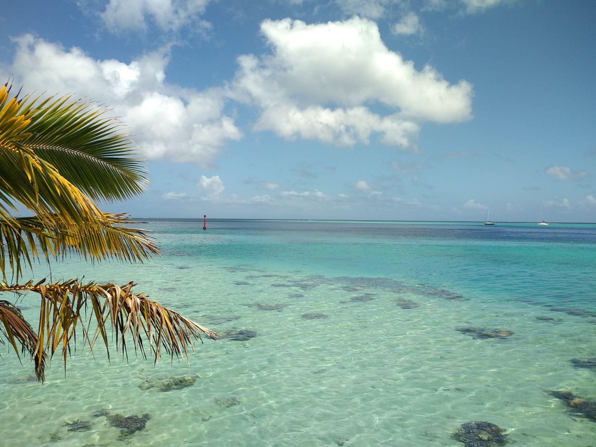  🇵🇫️ Huahine is a treasure images/2023/hu/hi.jpg