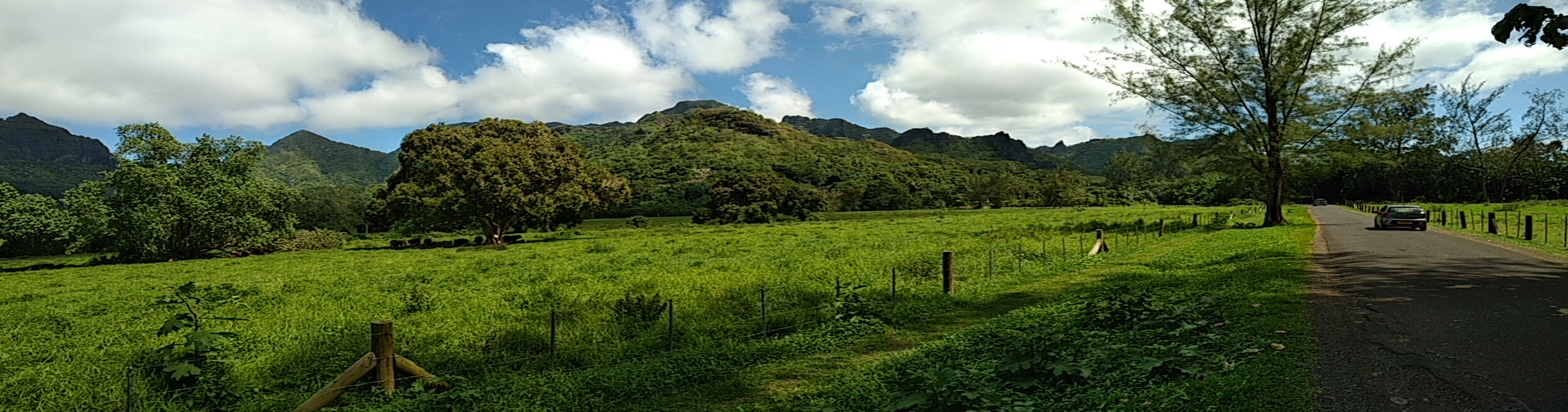  🇵🇫️ Moorea images/2023/mo/land.jpg