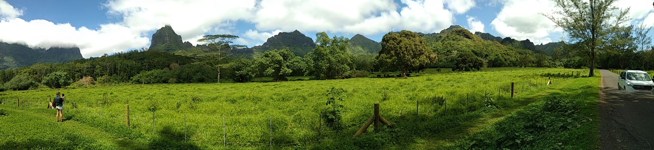  🇵🇫️ Moorea images/2023/mo/land1.jpg