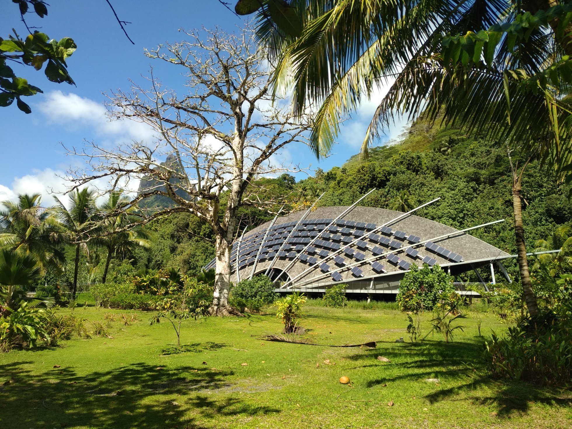  🇵🇫️ Moorea images/2023/mo/mus.jpg
