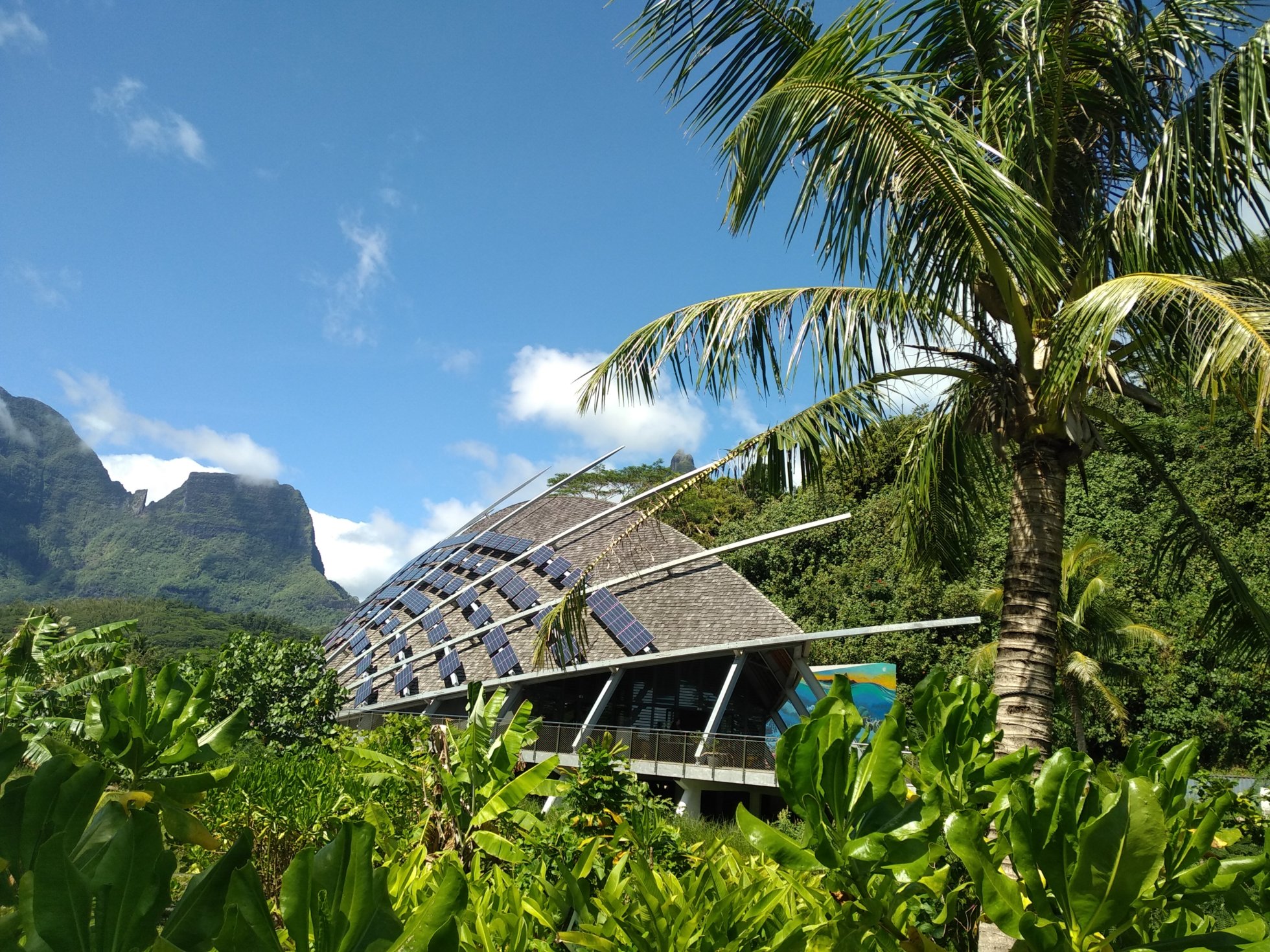  🇵🇫️ Moorea images/2023/mo/mus1.jpg