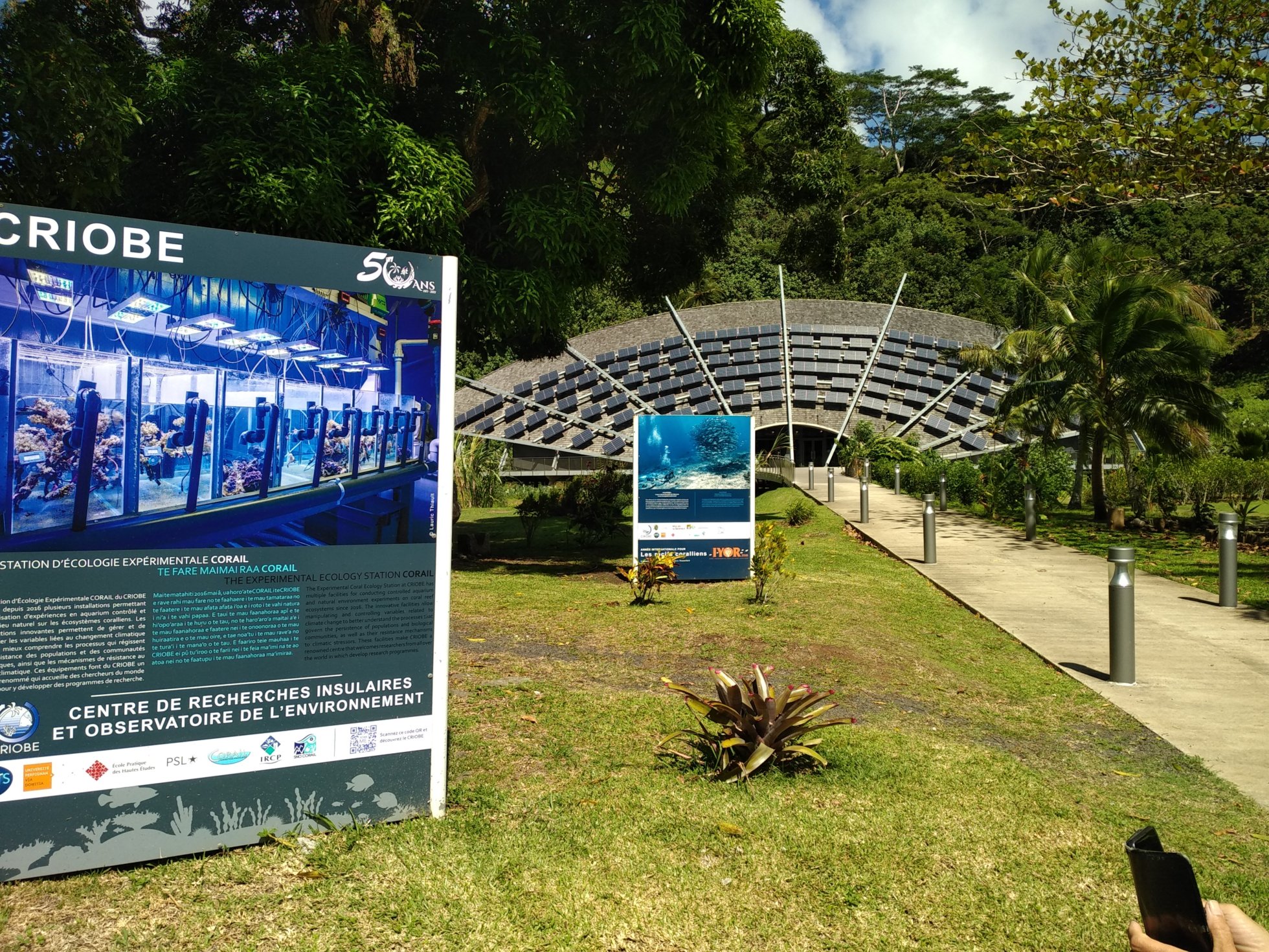  🇵🇫️ Moorea images/2023/mo/mus2.jpg