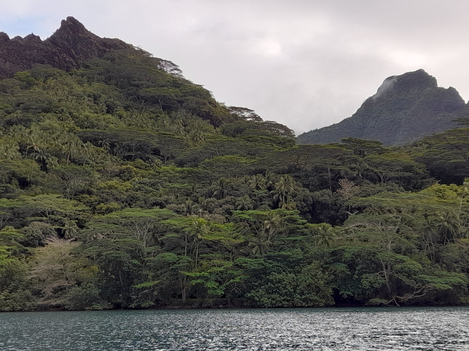 Moorea images/2023/mo/opu.jpg