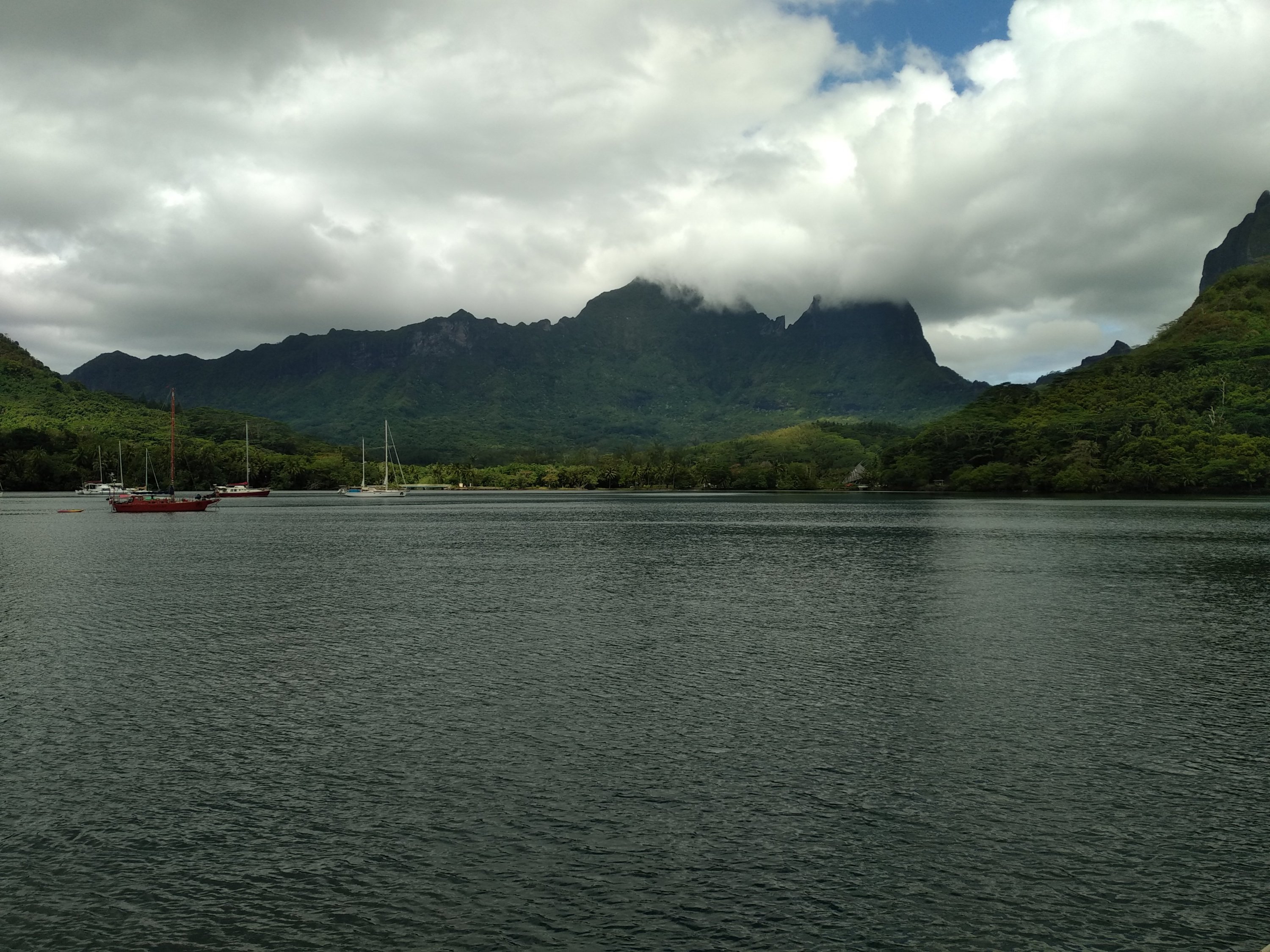 Moorea images/2023/mo/opu1.jpg