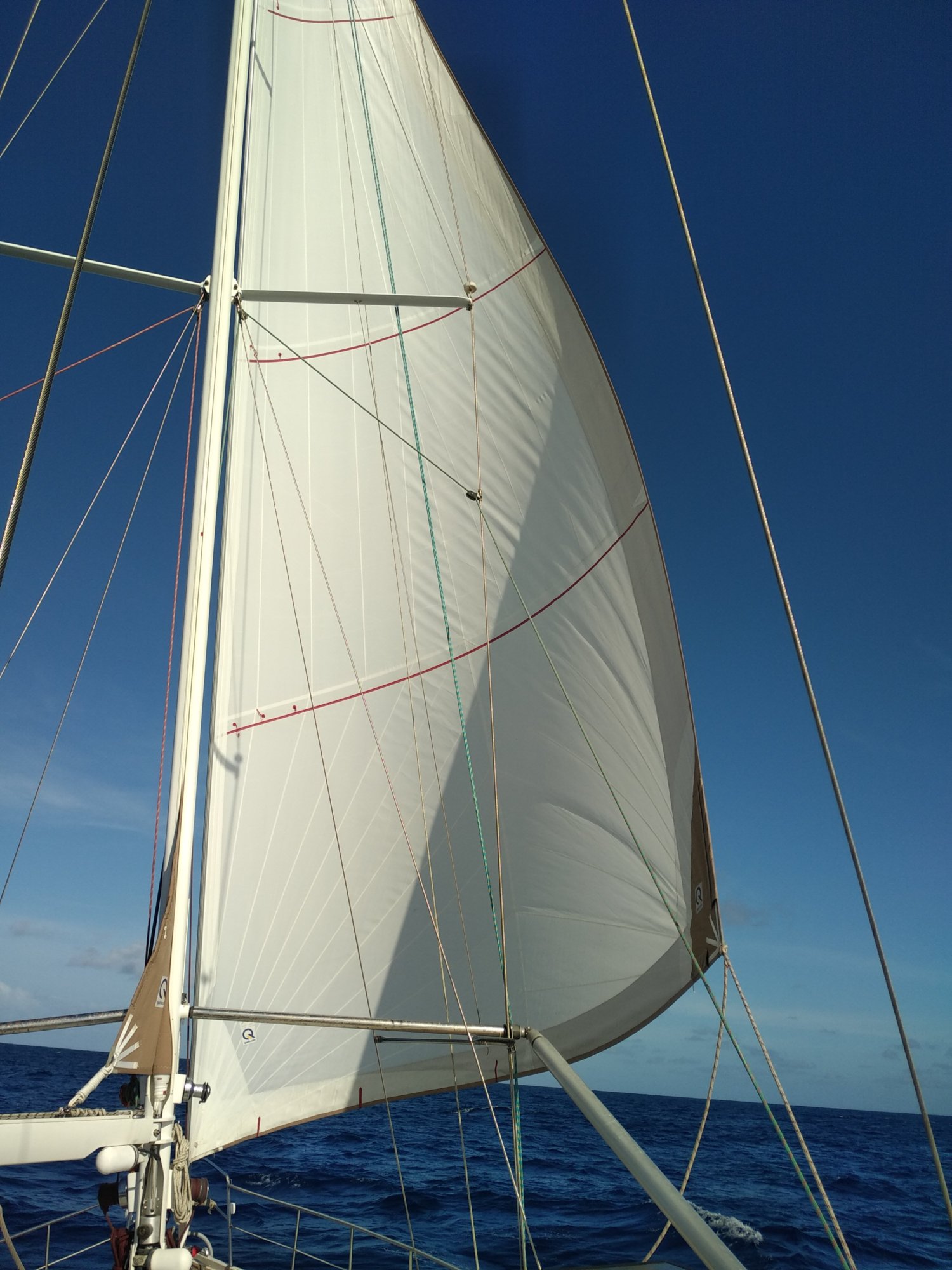 🇵🇫️ Sailing to the Marquesas images/2023/pm/4.jpg