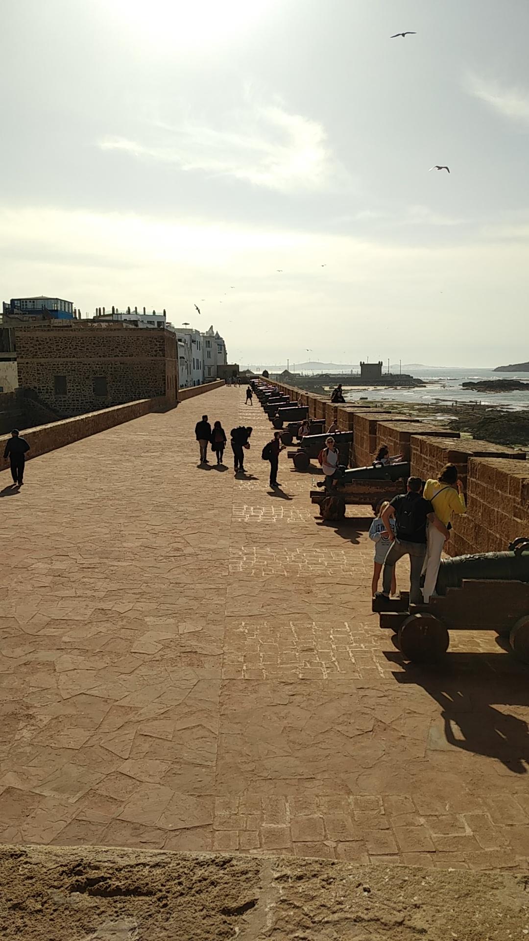  🇲🇦️ Essouaria Morocco images/2023/somo/cannons1.jpg