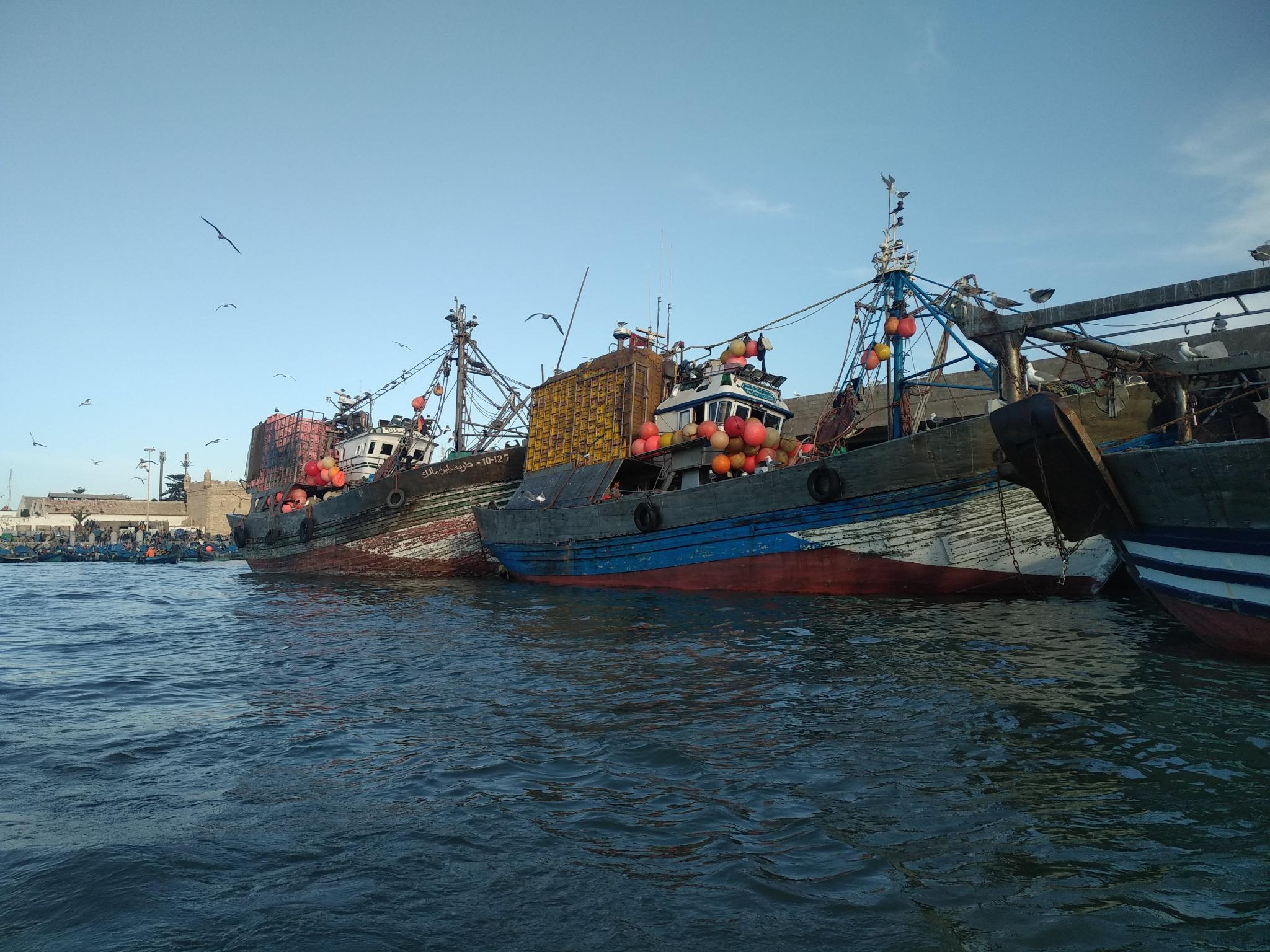  🇲🇦️ Essouaria Morocco images/2023/somo/port1.jpg