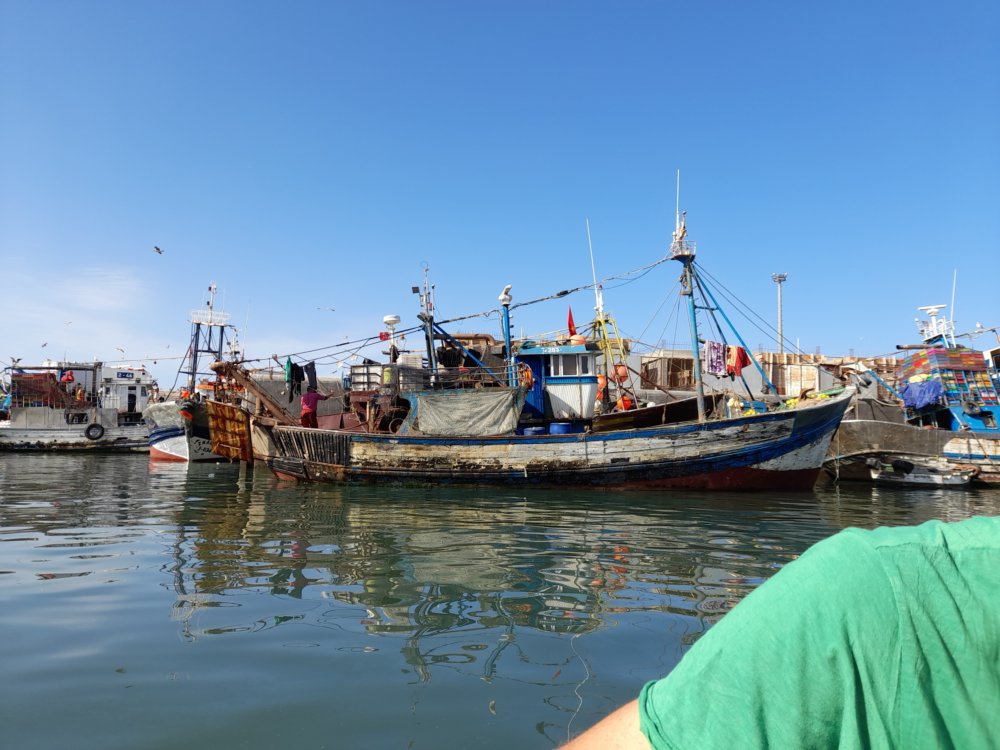  🇲🇦️ Essouaria Morocco images/2023/somo/port3.jpg