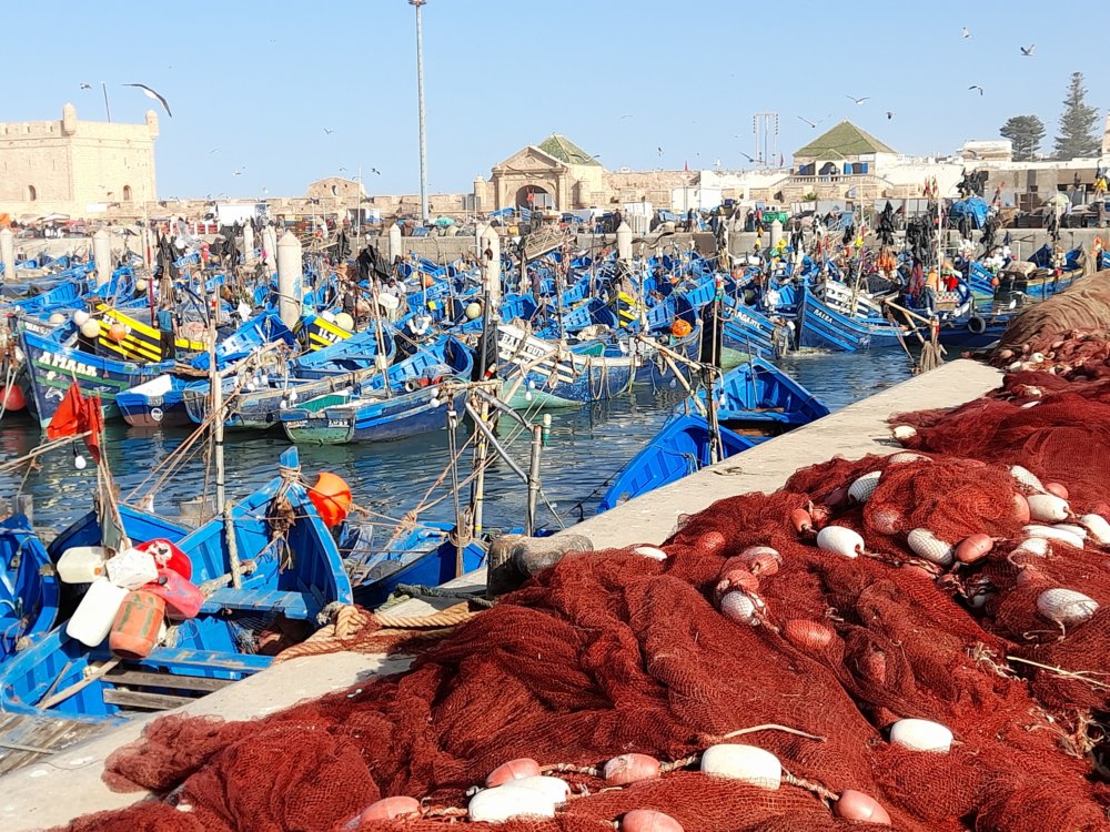  🇲🇦️ Essouaria Morocco images/2023/somo/port4.jpg