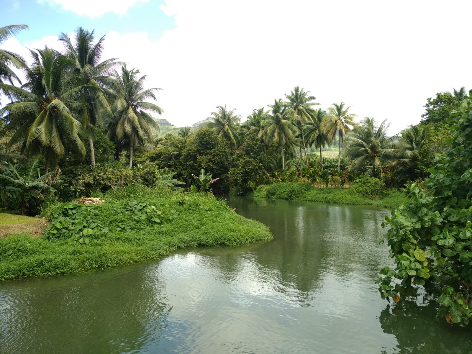  🇵🇫️ Tahaa and Raiatea images/2023/tah/1.jpg