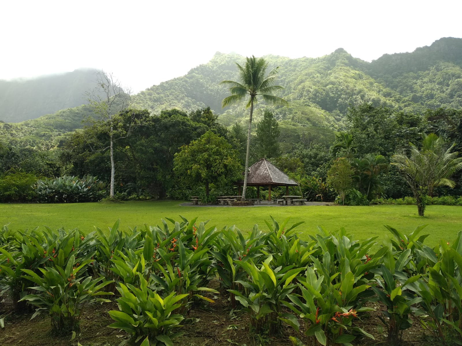  🇵🇫️ Tahaa and Raiatea images/2023/tah/2.jpg