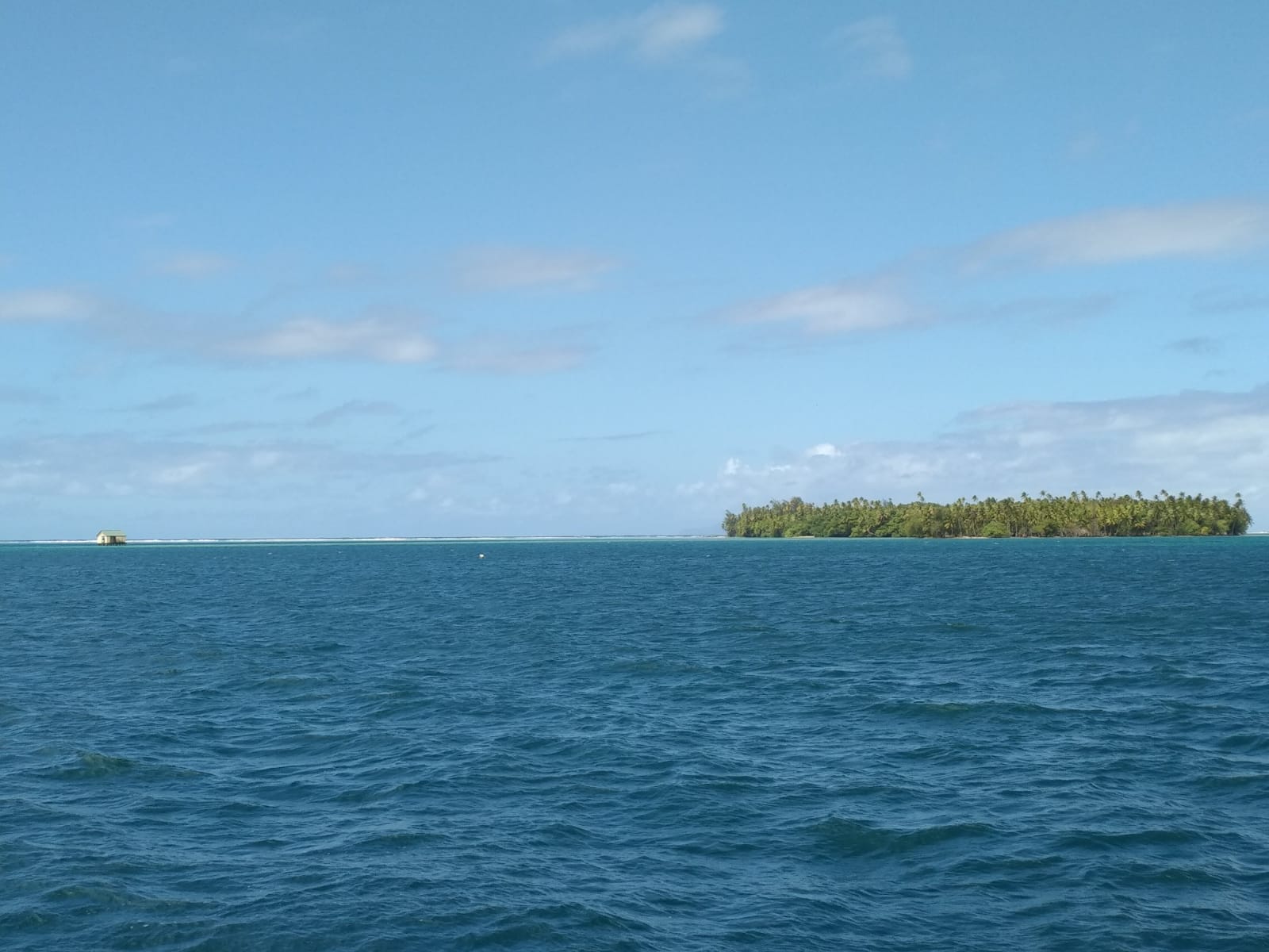  🇵🇫️ Tahaa and Raiatea images/2023/tah/hm.jpg