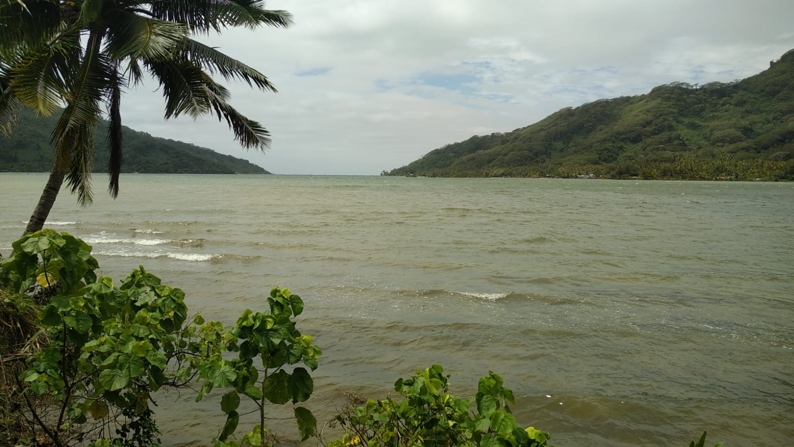  🇵🇫️ Tahaa and Raiatea images/2023/tah/hm1.jpg