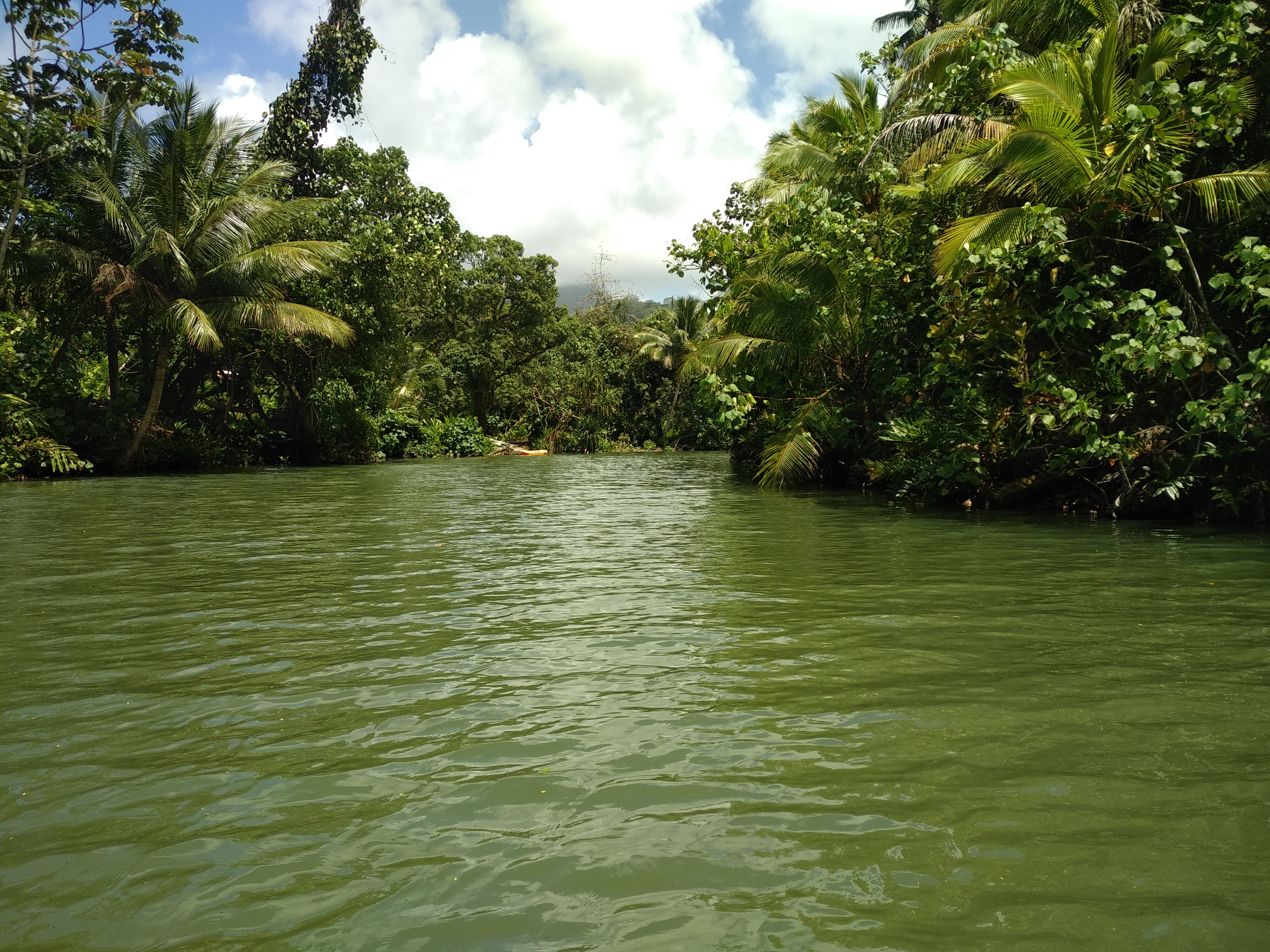  🇵🇫️ Tahaa and Raiatea images/2023/tah/r.jpg