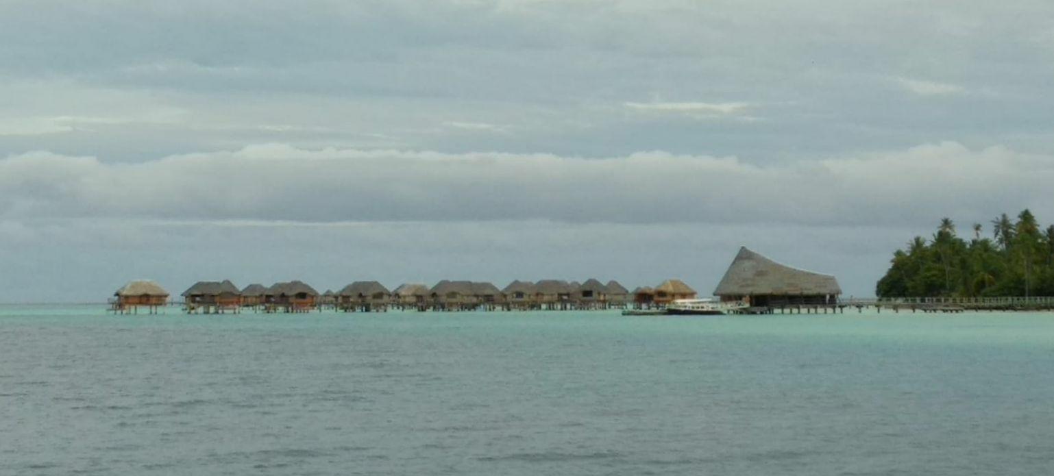  🇵🇫️ Tahaa and Raiatea images/2023/tah/ta4.jpg